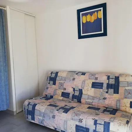 Apartment 4 Pers Avec Veranda Et Parking Prive - Proche Quai De Plaisance A Marseillan - Fr-1-326-489 *