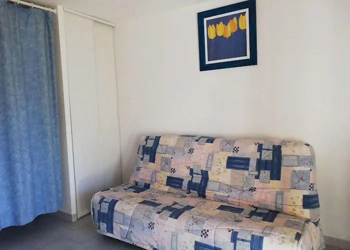 Apartamento 4 Pers Avec Véranda Et Parking Privé – Proche Quai De Plaisance à Marseillan - Fr-1-326-489 *
